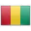 shiny Guinea icon